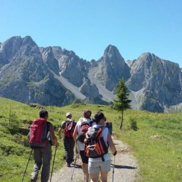 Vinta la scommessa del CamminaForeste!